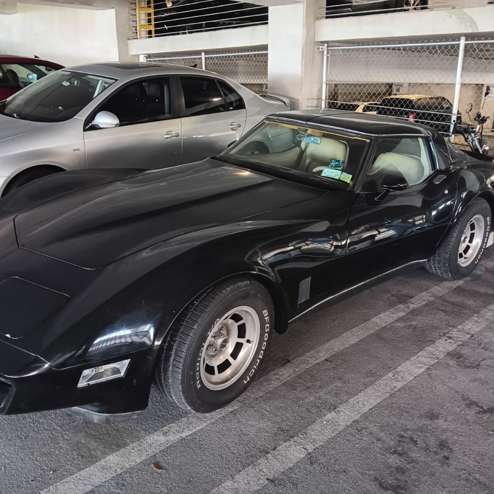 1980 Chevrolet corvette